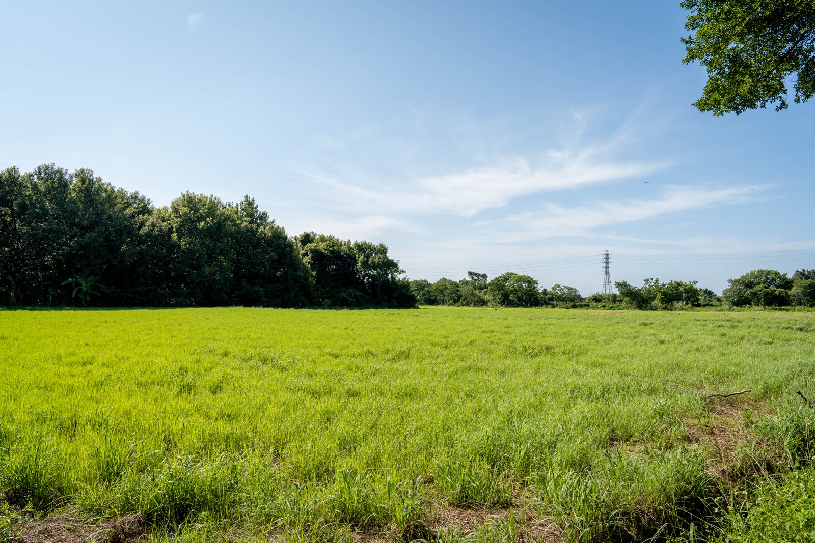 照片3
