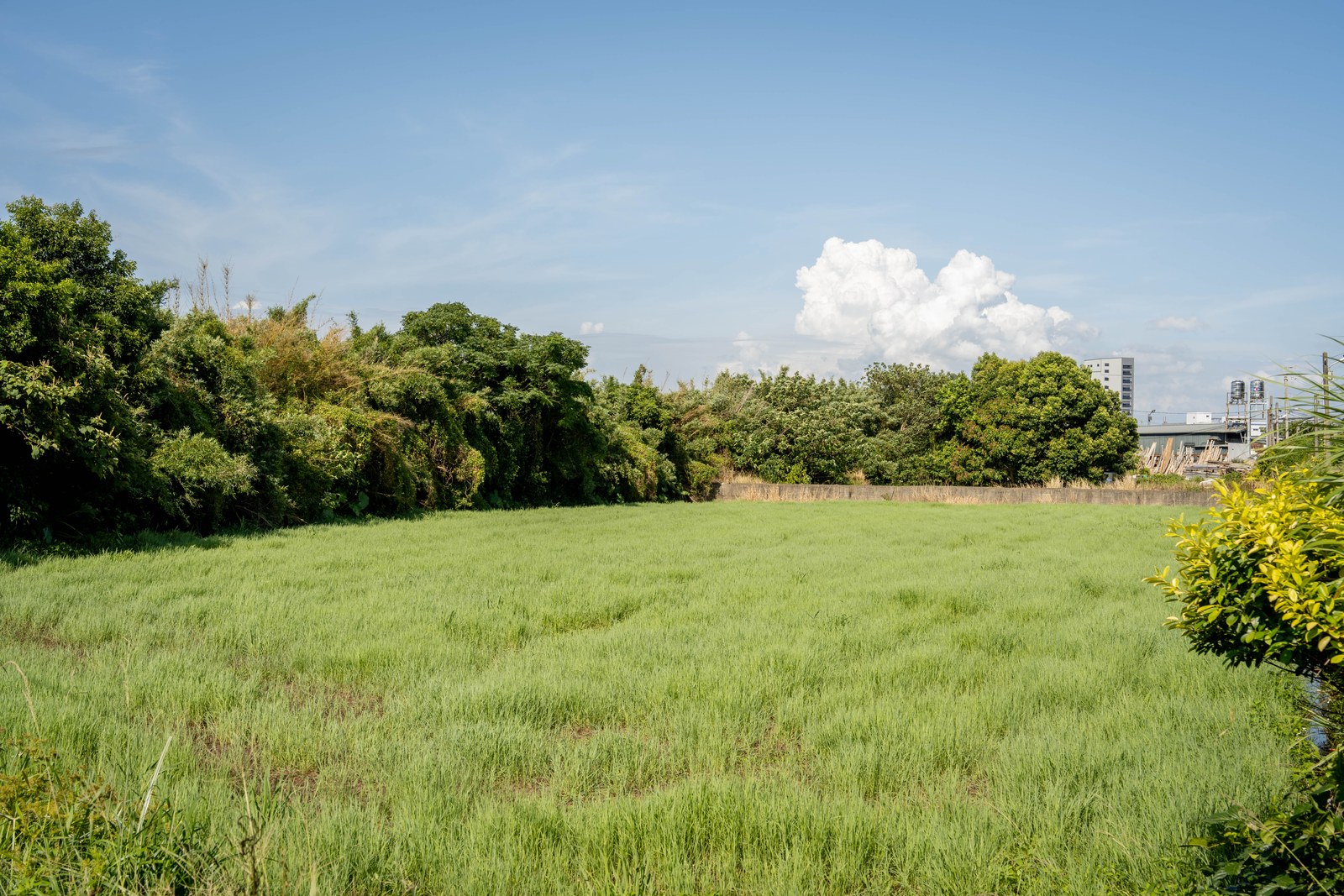 照片5